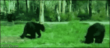 b2bAc.gif