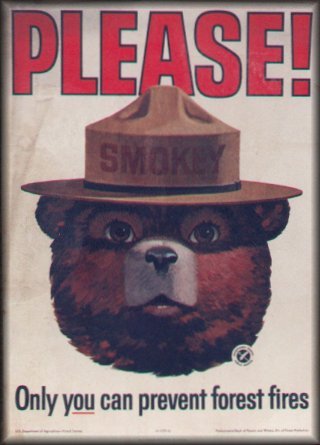 smokey_bear_ad.jpg