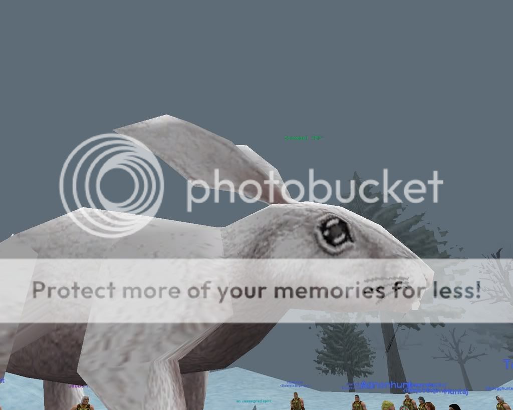 EQ000048.jpg