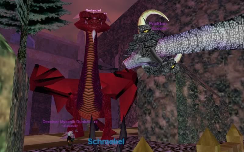 EQ000132.jpg