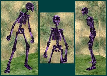 CustomSkeleton1_zps47dcd460.jpg