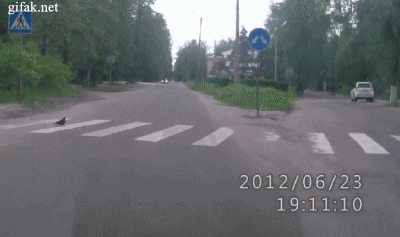 zJRGyzf.gif
