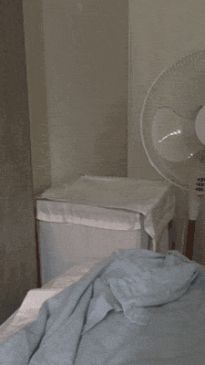 tRPIjMv.gif