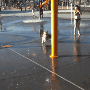 YvJuq.gif