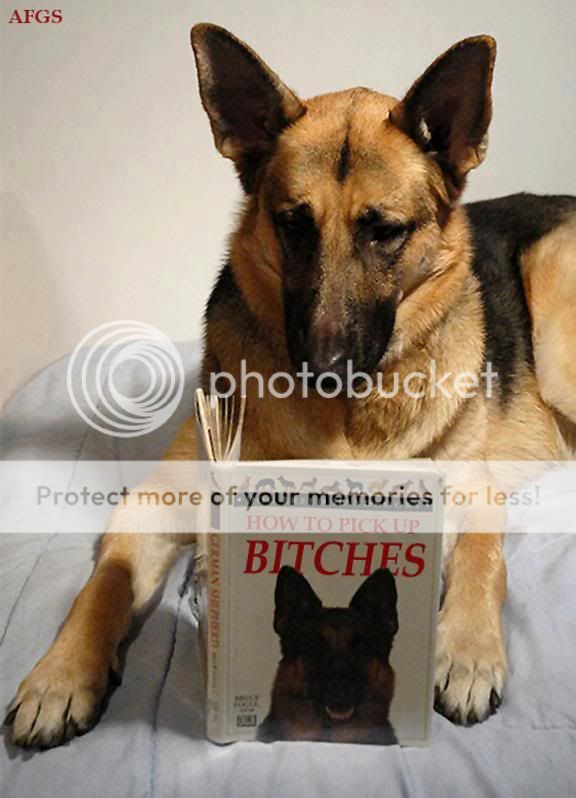 Bitches.jpg