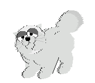 cat1.gif