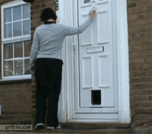 Ib3TK.gif