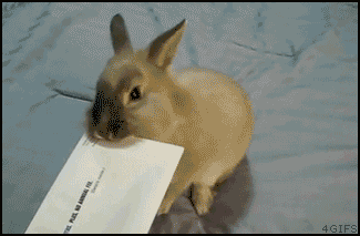 4Ev5H.gif