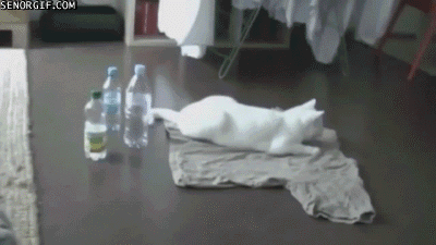 Ii2ji.gif