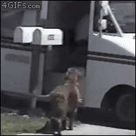 RjiTo.gif