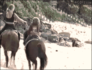abd-273.gif