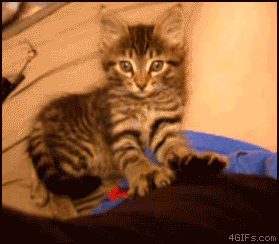 Hsew1.gif
