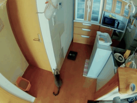 b5844e.gif