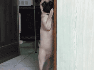 SnkUhi4.gif
