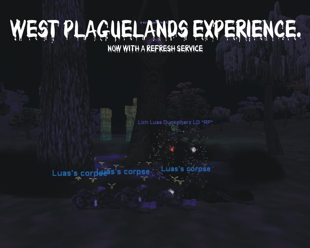 WPLExperience.jpg