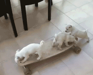 WnMzP.gif