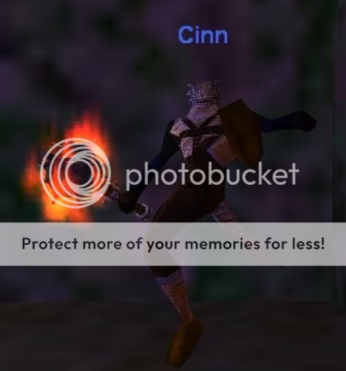 cinn4.jpg