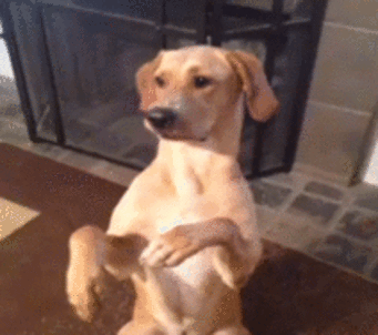 rdV2swI.gif