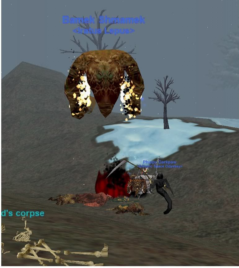 bamekwatchesover.jpg