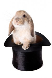 rabbit-out-of-a-hat-200x300.jpg